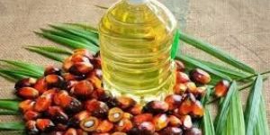 Palm Oil