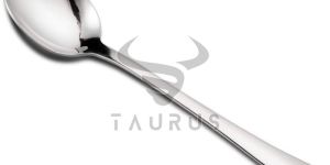 Stainless Steel Table Spoon