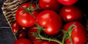 Fresh Red Tomato