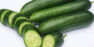 Fresh English Cucumber