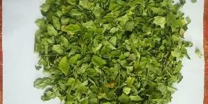 Dried Organic Moringa Leaves