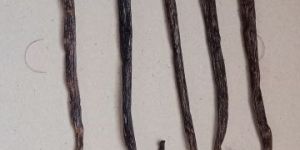 Dried Vanilla Beans