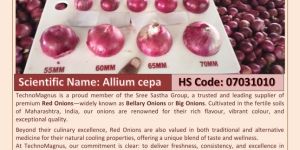 Red Onion