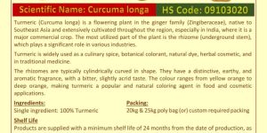 Turmeric Finger