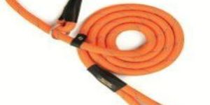 Dog Striking Braided Rope Leash