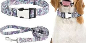 Elegant Little Tail Dog Collar