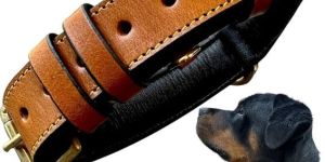 Leather Dog Collars