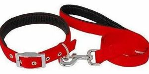 Nylon Dog Collar Set