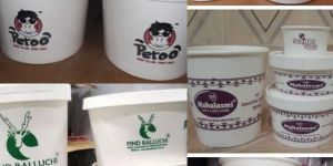 Disposable Printed Paper Container