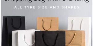 Plain Shopping Paper Bag