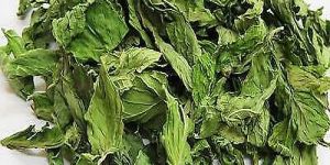 Dehydrated Mint Leaves