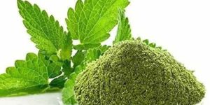 Dehydrated Mint Leaves Powder
