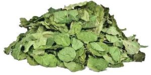 Dehydrated Moringa Leaves