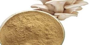 Dehydrated Oyster Mushroom Powder