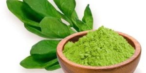 Dehydrated Spinach Powder