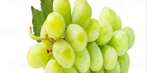 a Grade Fresh Green Grapes