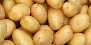 Brown a Grade Fresh Potato