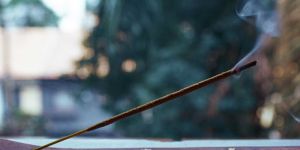 Garden Fresh Colored Incense Sticks