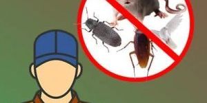 General Pest Control Service