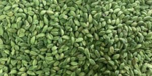 Green Cardamom