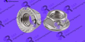 Serrated Flange Nuts