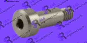 Socket Shoulder Bolts