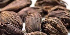 Black Cardamom