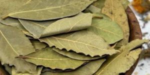Dried Bay Leaf