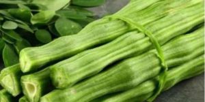 Green Drumstick Powder