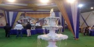 Fancy Fiber Water Fountain