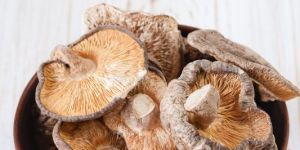 A Grade Dry Oyster Mushroom