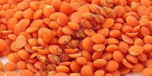 Whole Red Masoor Dal