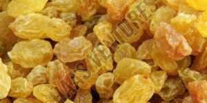 Yellow Dried Raisin