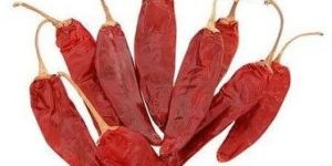 Guntur Dry Red Chilli