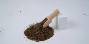 Cow Dung Powder