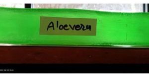 Aloe Vera Handmade Bath Soap Base