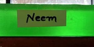 Neem Handmade Bath Soap Base