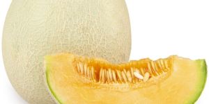 Fresh Round Muskmelon