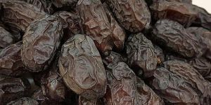 Select Grade Semi Dried Pitted Sayer Dates
