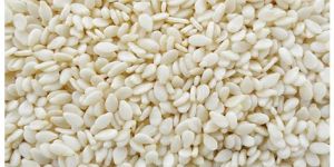 White Sesame Seeds