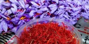 Kashmiri Mogra Saffron