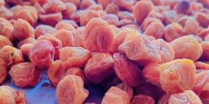 Dried Ladakhi Apricot