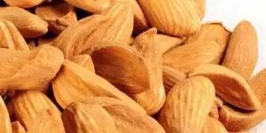 Kashmiri Mamra Almond Nuts