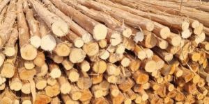 10 Feet Round Wooden Pole