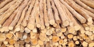 12 Feet Round Wooden Pole