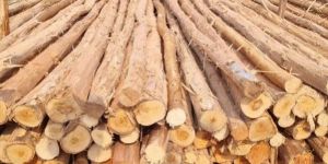 14 Feet Round Wooden Pole