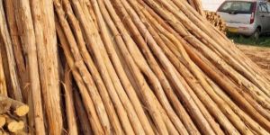 8 Feet Brown Wooden Pole