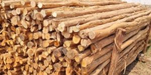 9 Feet Round Wooden Pole