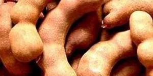 Tamarind Pods