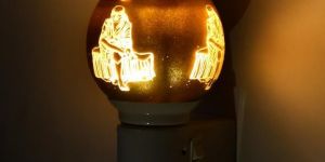 Sai Baba Printed Kapoor Dani